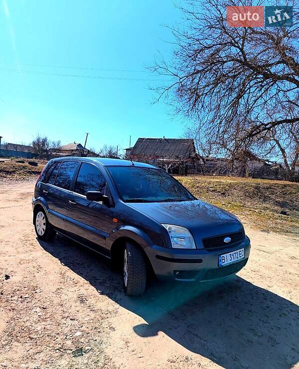Хетчбек Ford Fusion 2004 в Кобеляках