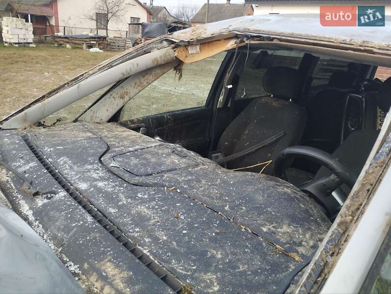 Мінівен Ford Galaxy 2008 в Любешові