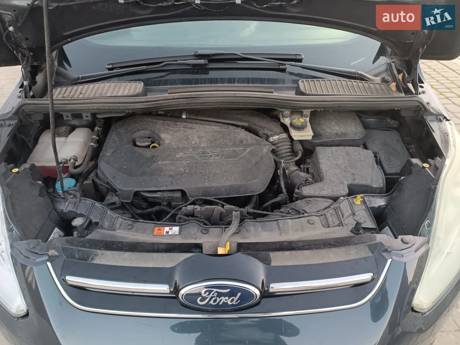 2010 Ford C-MAX - мініатюра 13