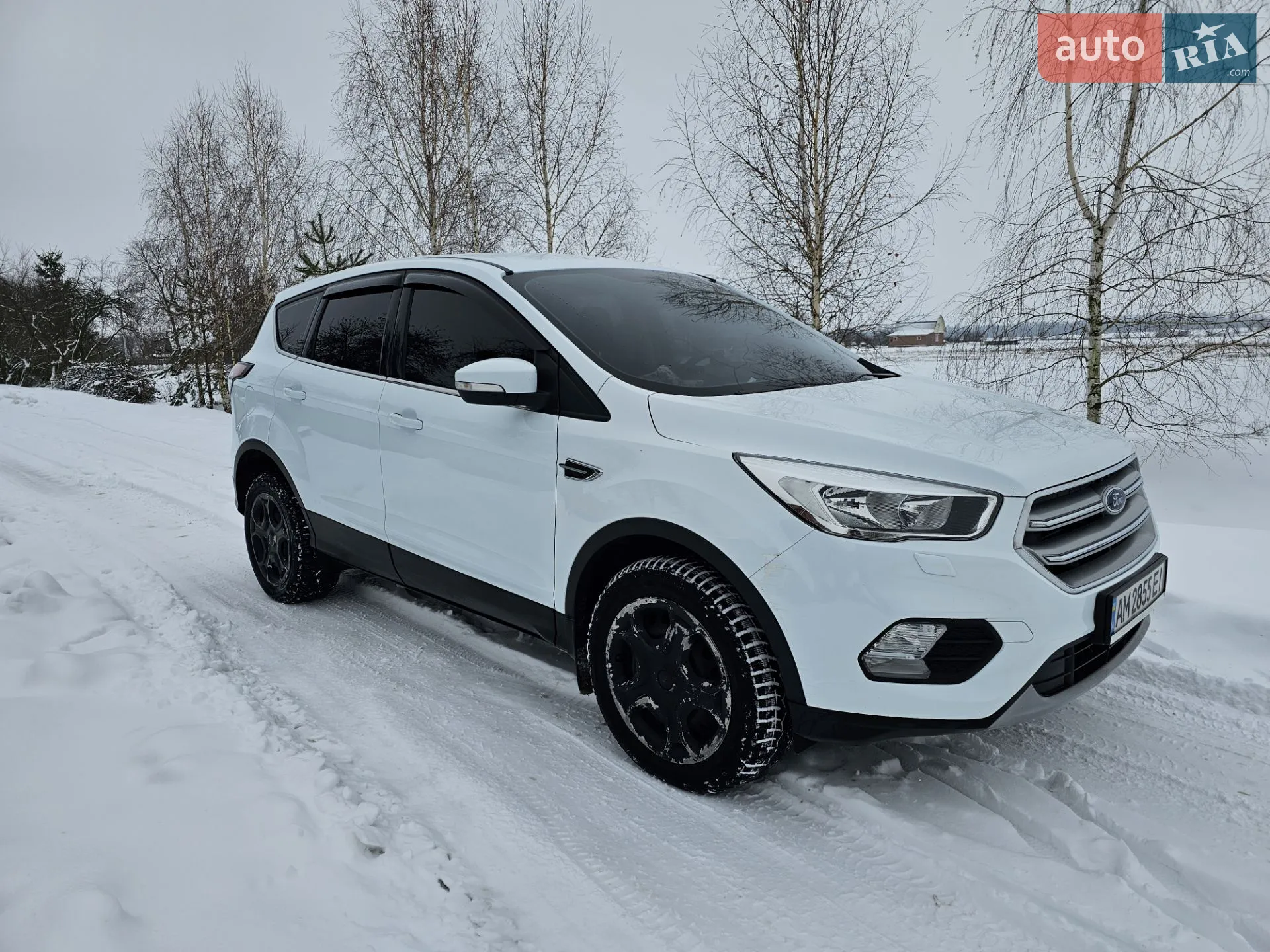 2019 Ford Kuga - мініатюра 2