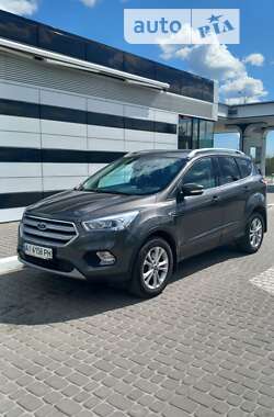 Внедорожник / Кроссовер Ford Kuga 2019 в Сокале