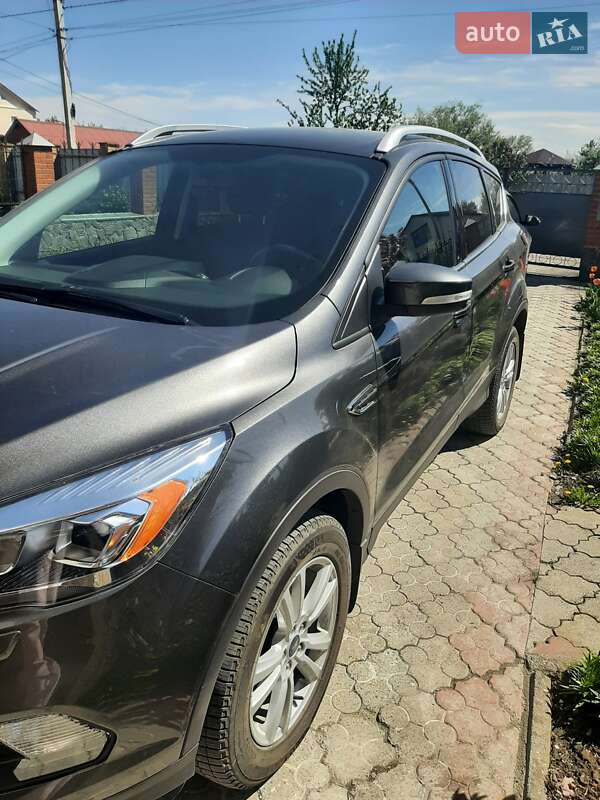 Внедорожник / Кроссовер Ford Kuga 2017 в Полтаве