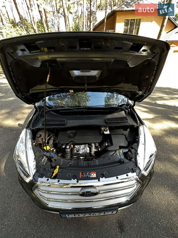 Внедорожник / Кроссовер Ford Kuga 2019 в Чернигове