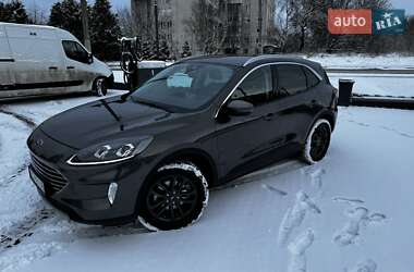 Позашляховик / Кросовер Ford Kuga 2021 в Львові