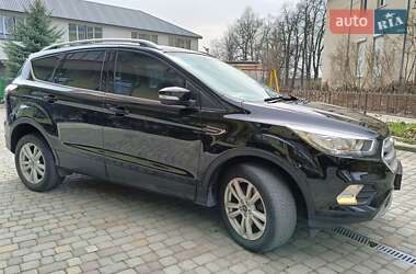 Внедорожник / Кроссовер Ford Kuga 2019 в 