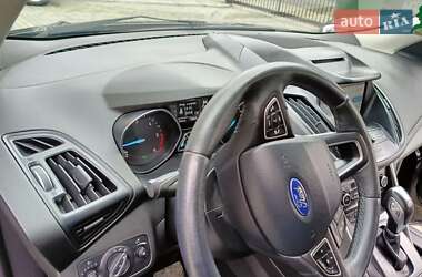 Внедорожник / Кроссовер Ford Kuga 2019 в 