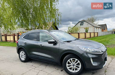 Позашляховик / Кросовер Ford Kuga 2022 в Ромнах