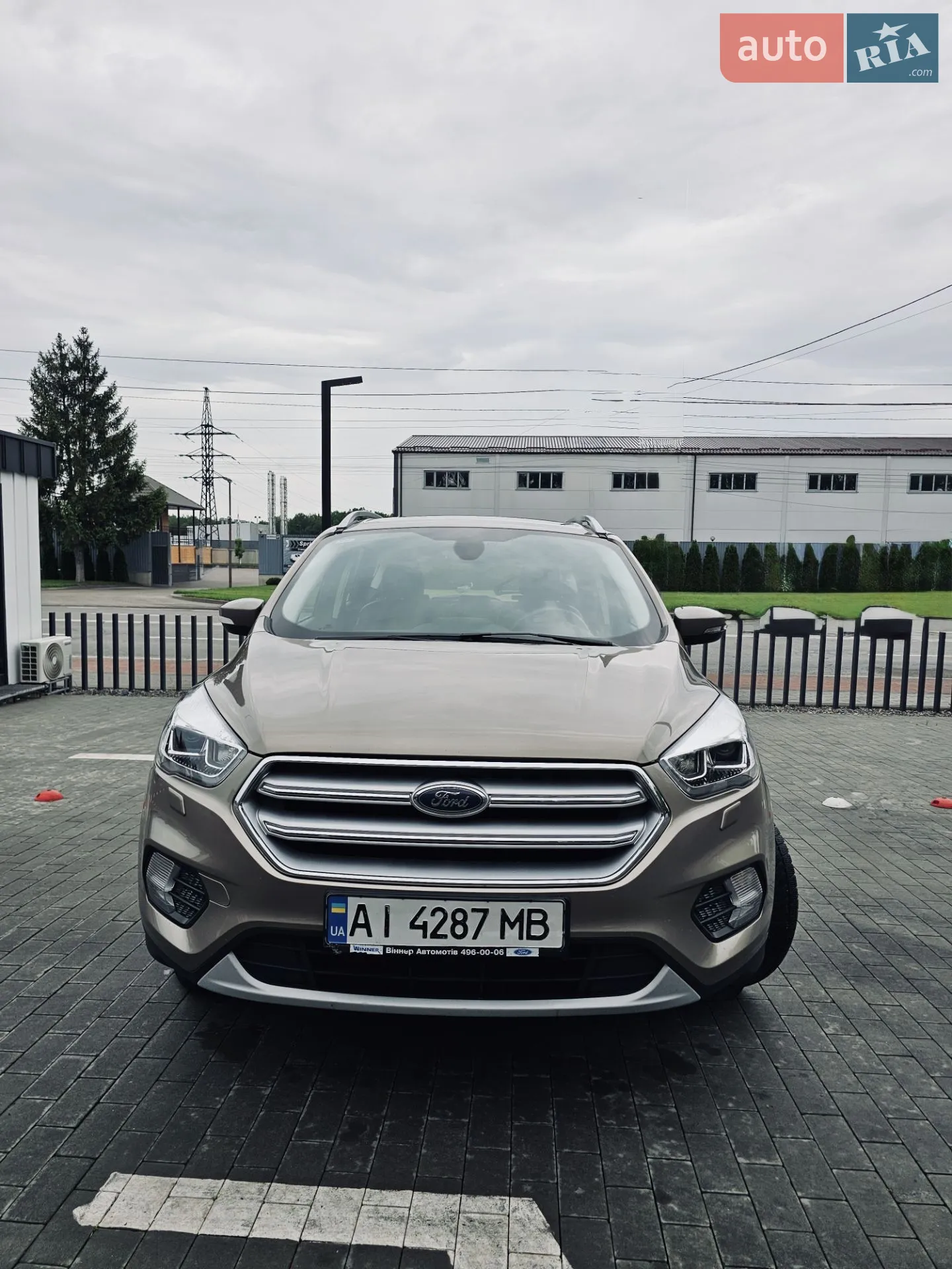 2019 Ford Kuga - мініатюра 2