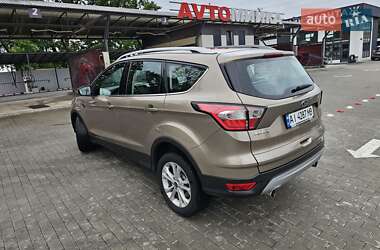 Внедорожник / Кроссовер Ford Kuga 2019 в 
