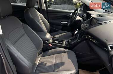 Внедорожник / Кроссовер Ford Kuga 2019 в 
