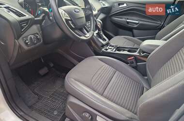 Внедорожник / Кроссовер Ford Kuga 2019 в 