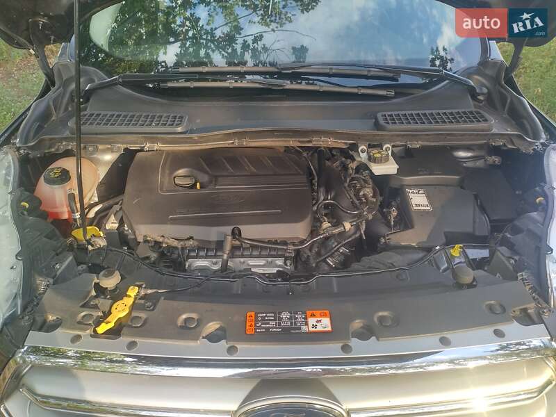 Позашляховик / Кросовер Ford Kuga 2016 в Світловодську