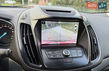Внедорожник / Кроссовер Ford Kuga 2019 в 