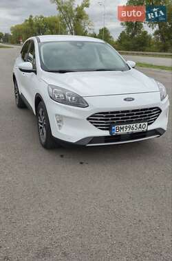 Внедорожник / Кроссовер Ford Kuga 2020 в Ромнах