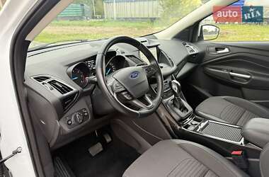 Внедорожник / Кроссовер Ford Kuga 2019 в 