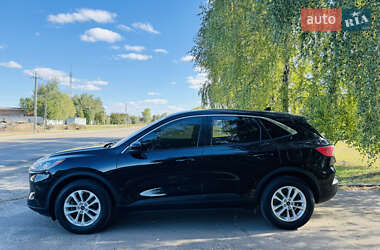 Позашляховик / Кросовер Ford Kuga 2021 в 