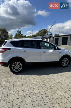 Внедорожник / Кроссовер Ford Kuga 2019 в 