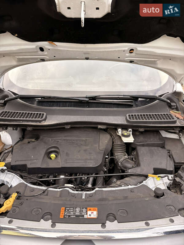 Внедорожник / Кроссовер Ford Kuga 2017 в Киеве фото 6 Внедорожник / Кроссовер Ford Kuga 2017 в Киеве