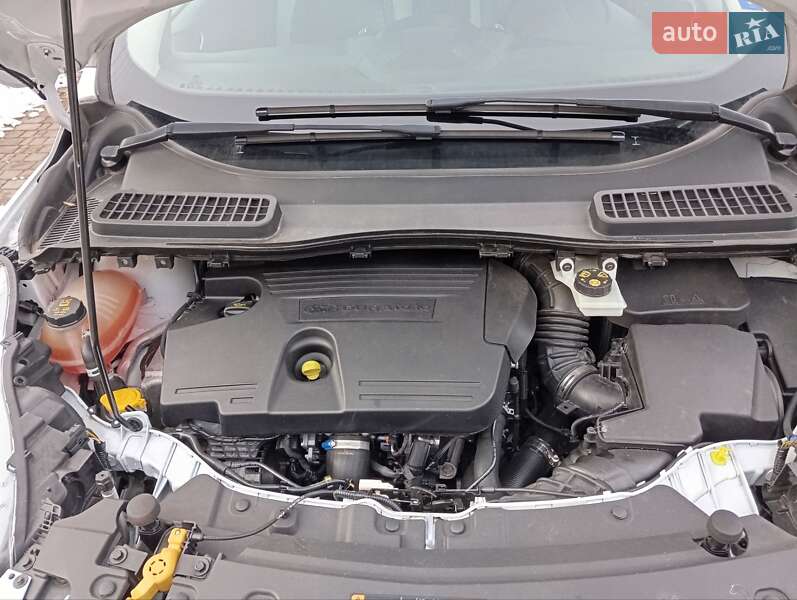 Внедорожник / Кроссовер Ford Kuga 2017 в Моршине