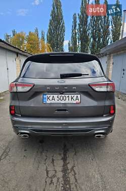 Внедорожник / Кроссовер Ford Kuga 2023 в 