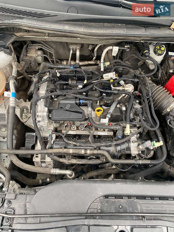 Внедорожник / Кроссовер Ford Kuga 2022 в Киеве