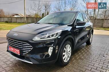 Внедорожник / Кроссовер Ford Kuga 2020 в Дунаевцах