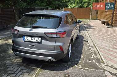 Внедорожник / Кроссовер Ford Kuga 2020 в Чорткове