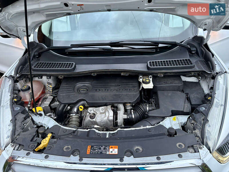 Позашляховик / Кросовер Ford Kuga 2019 в Одесі