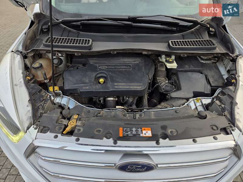 Внедорожник / Кроссовер Ford Kuga 2017 в Полтаве