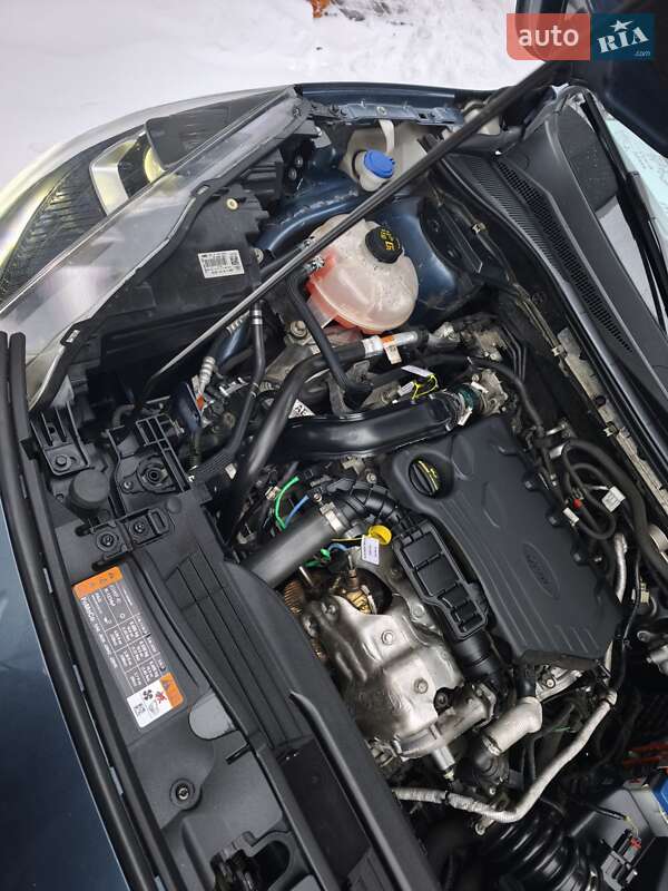 Внедорожник / Кроссовер Ford Kuga 2020 в Львове