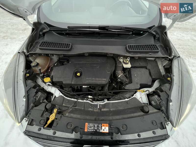 Внедорожник / Кроссовер Ford Kuga 2017 в Бердичеве