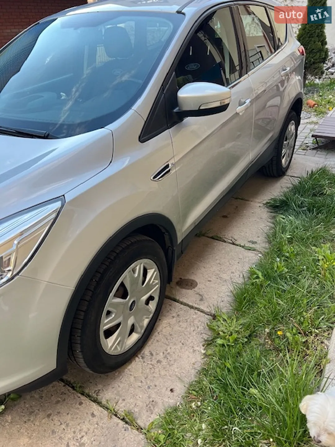 2016 Ford Kuga - мініатюра 3