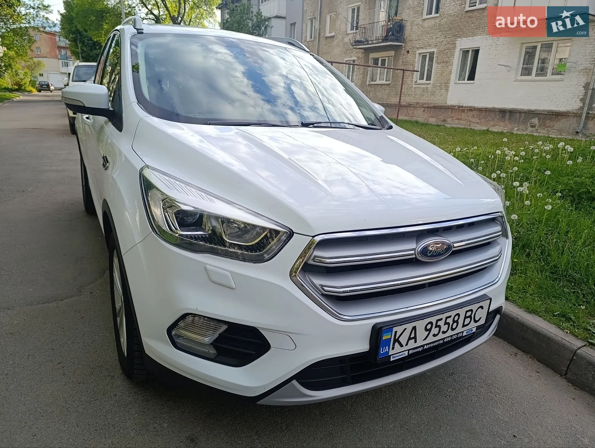 2019 Ford Kuga - фото 1