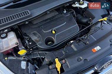 Внедорожник / Кроссовер Ford Kuga 2014 в Дрогобыче