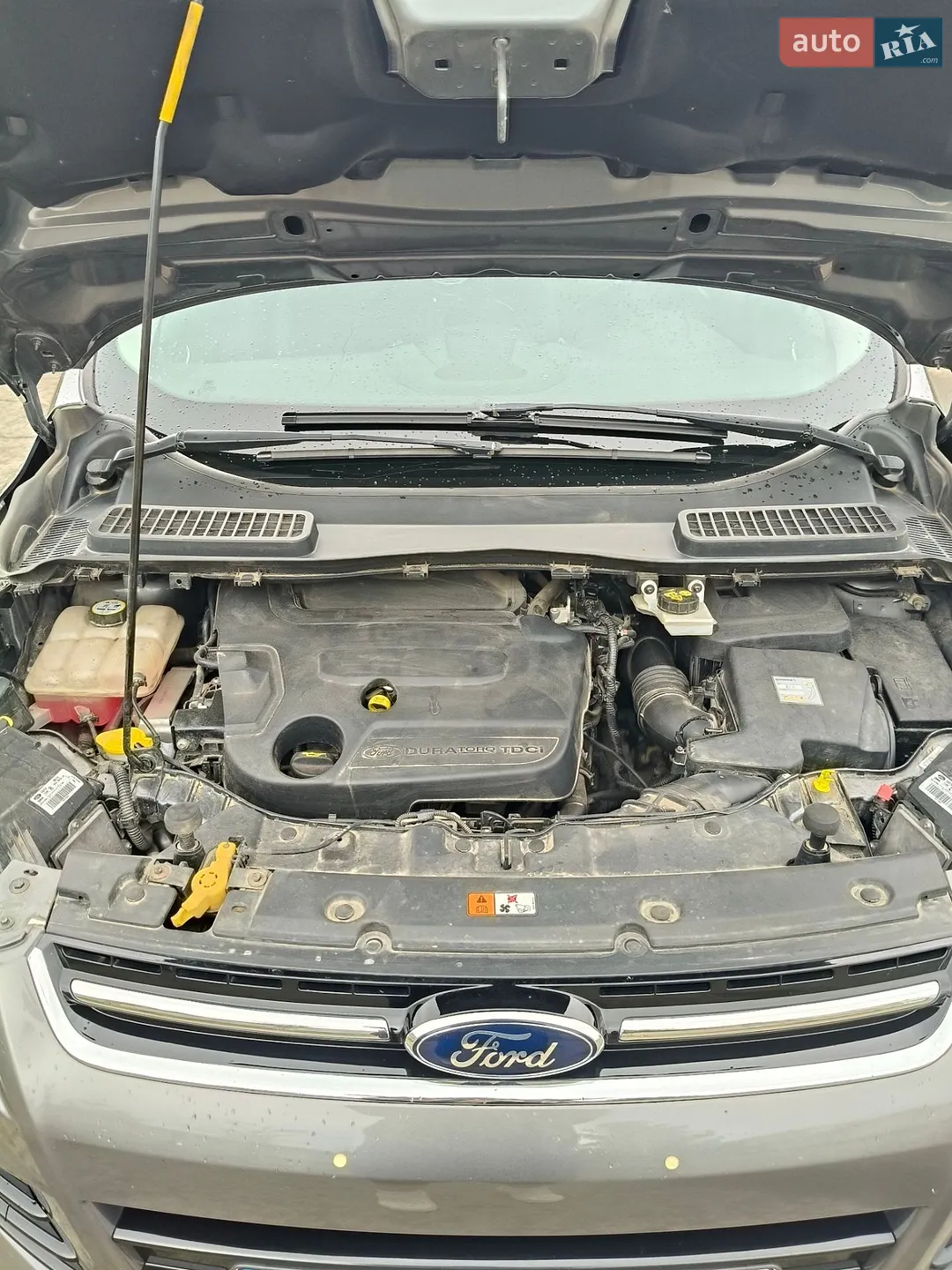 2014 Ford Kuga - мініатюра 8