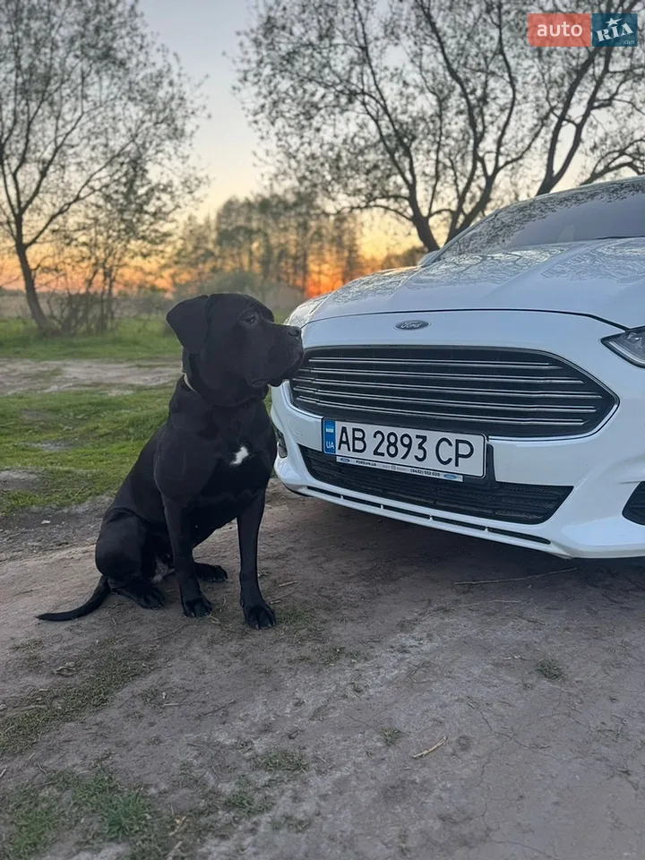 2016 Ford Mondeo - мініатюра 24