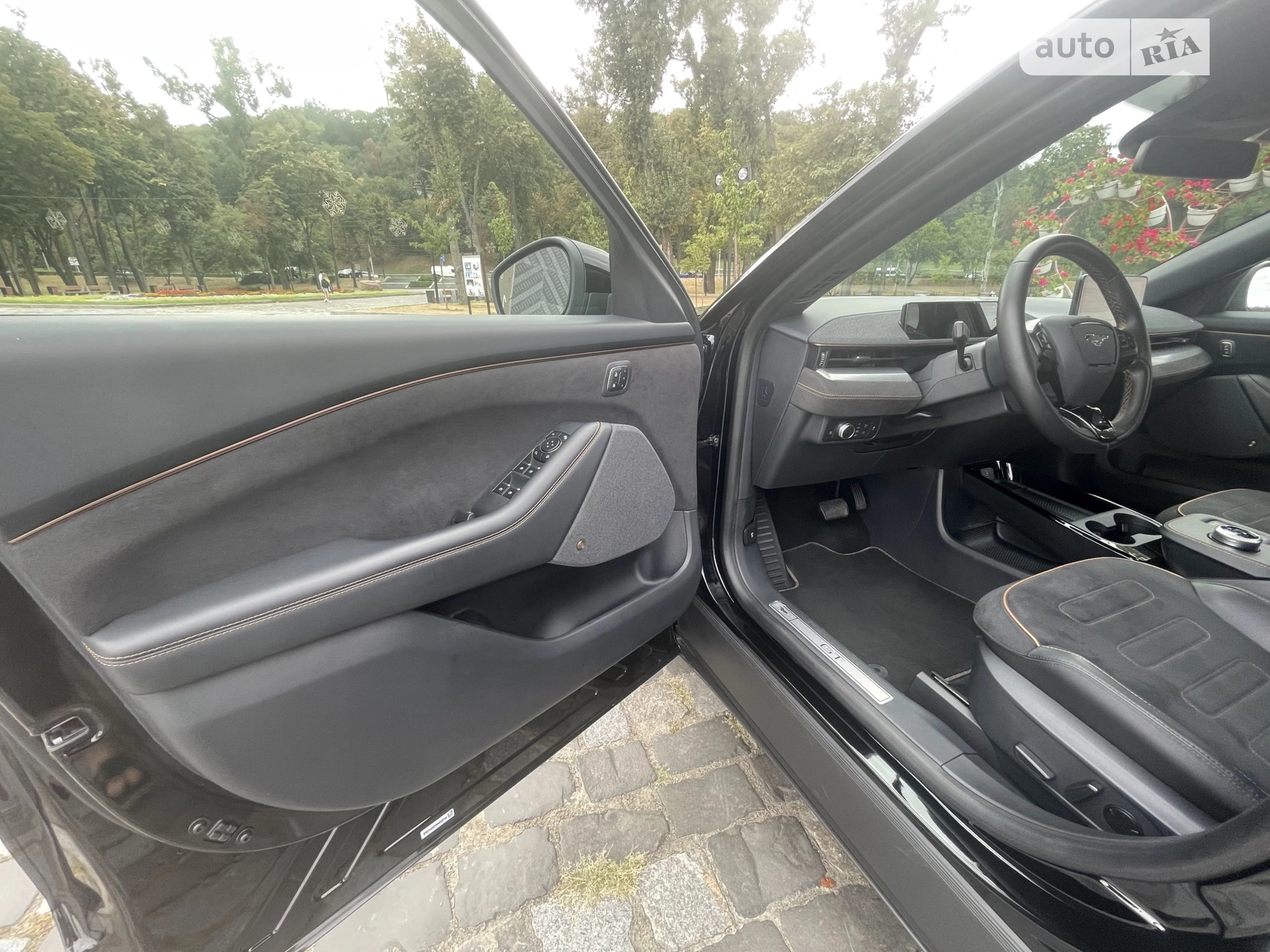 2021 Ford Mustang Mach-E - мініатюра 12