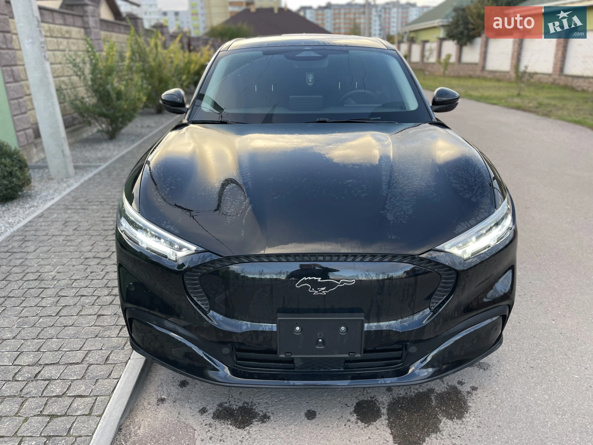2021 Ford Mustang Mach-E - мініатюра 3