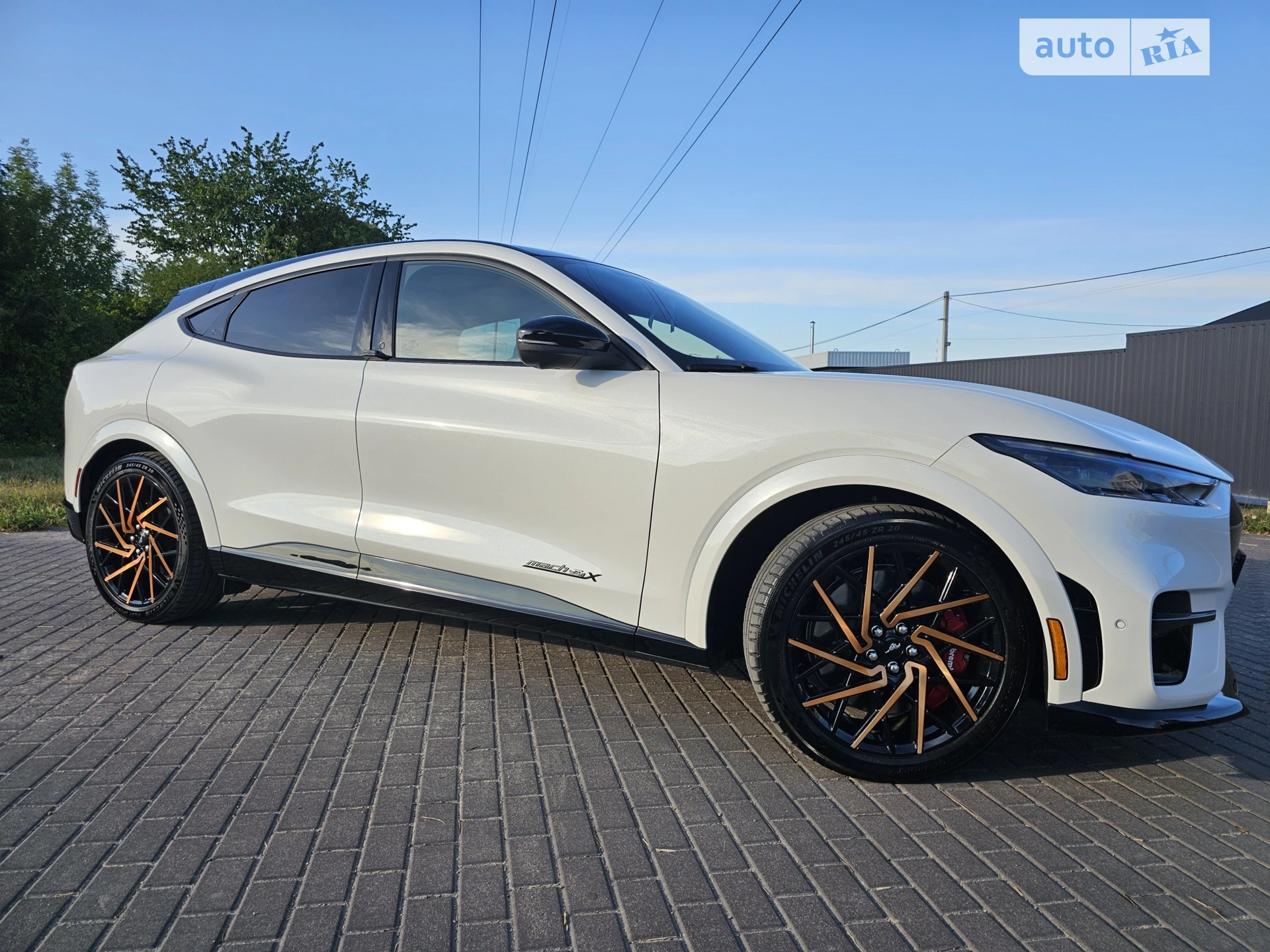 2023 Ford Mustang Mach-E - мініатюра 12