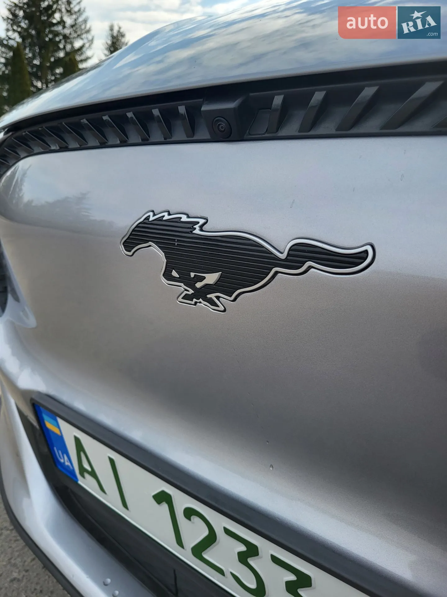2021 Ford Mustang Mach-E - мініатюра 38