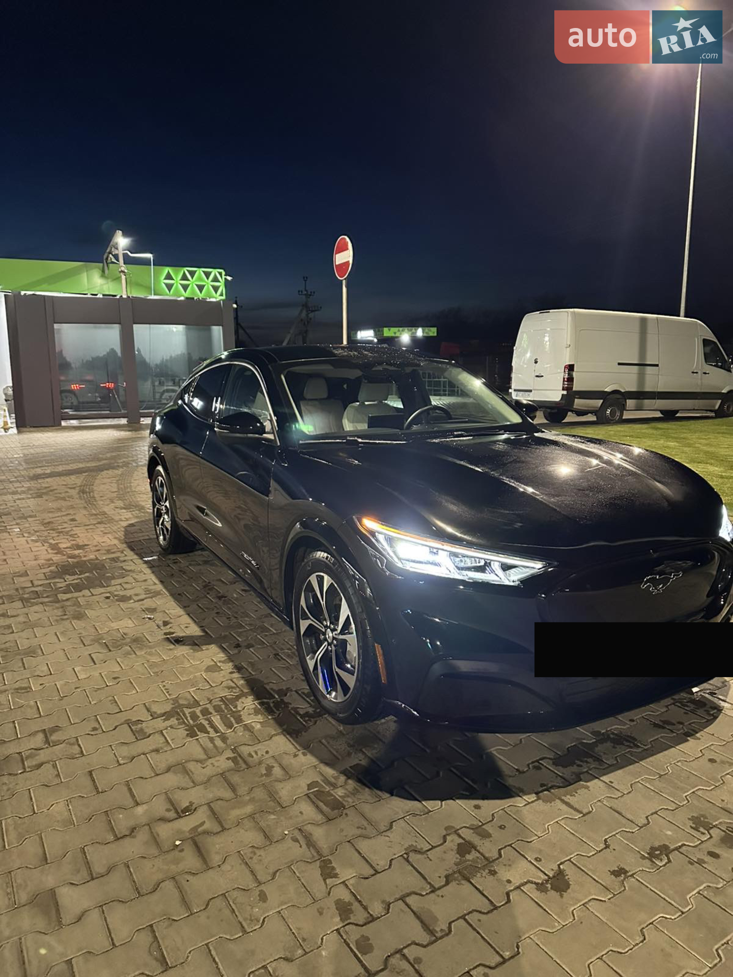 2023 Ford Mustang Mach-E - мініатюра 10