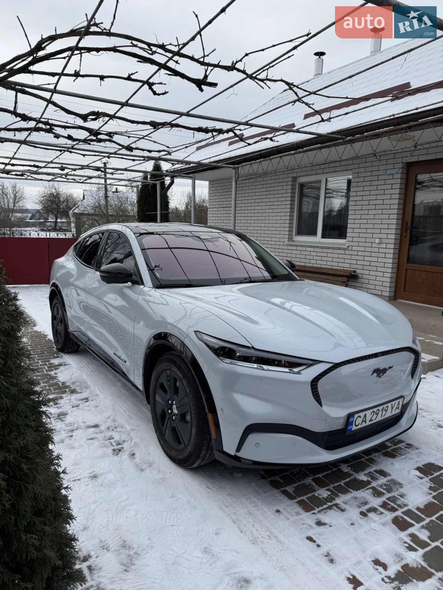 2021 Ford Mustang Mach-E - фото 1