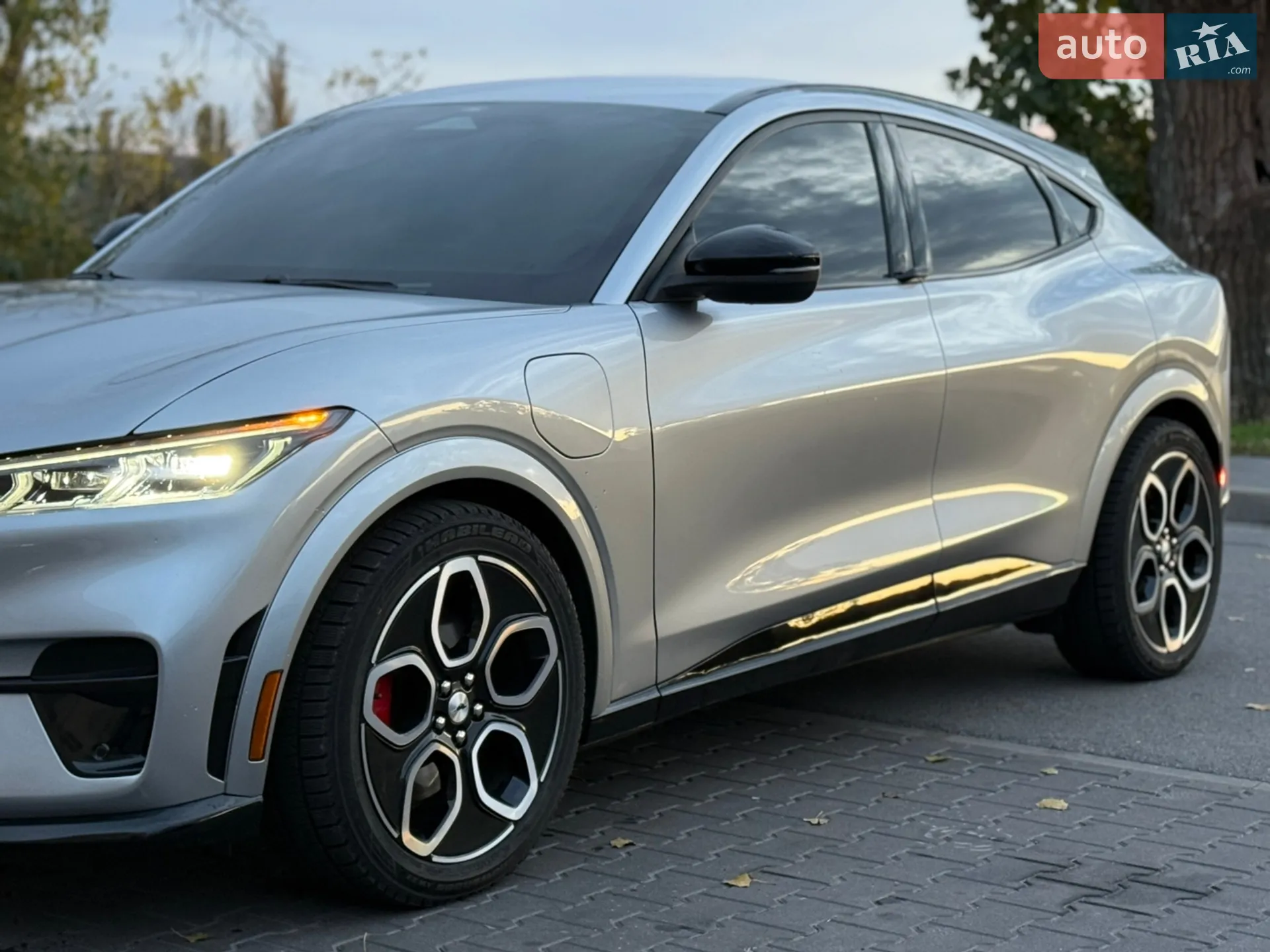 2021 Ford Mustang Mach-E - мініатюра 12