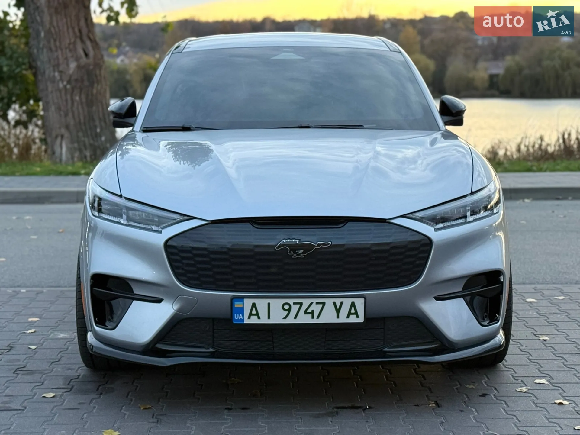 2021 Ford Mustang Mach-E - мініатюра 22