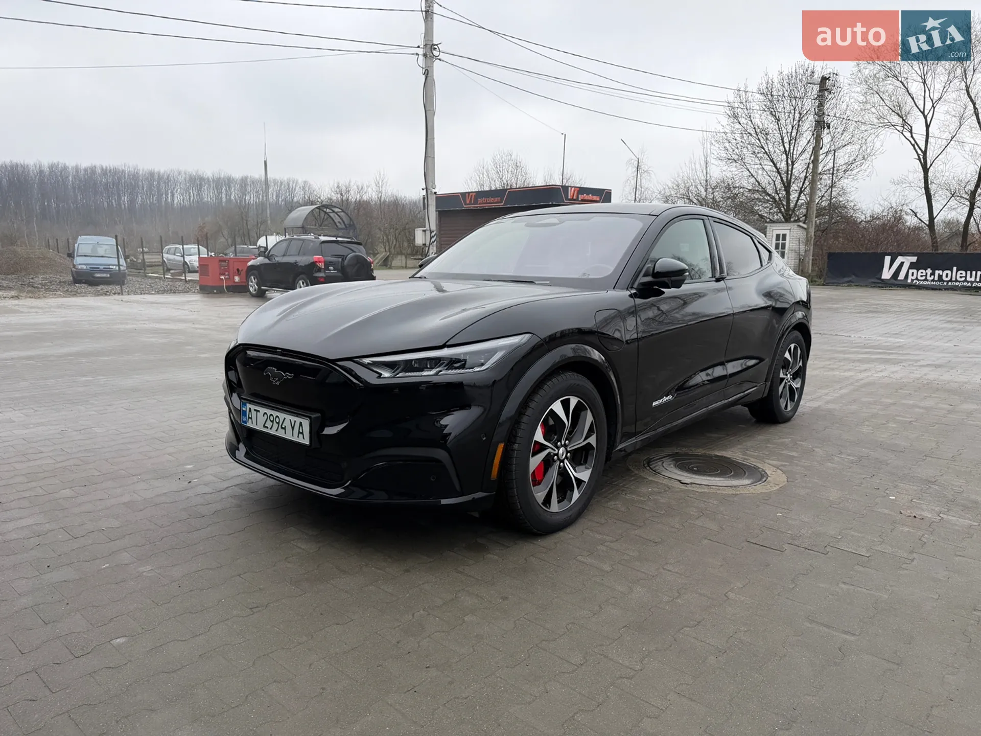 2021 Ford Mustang Mach-E - мініатюра 9