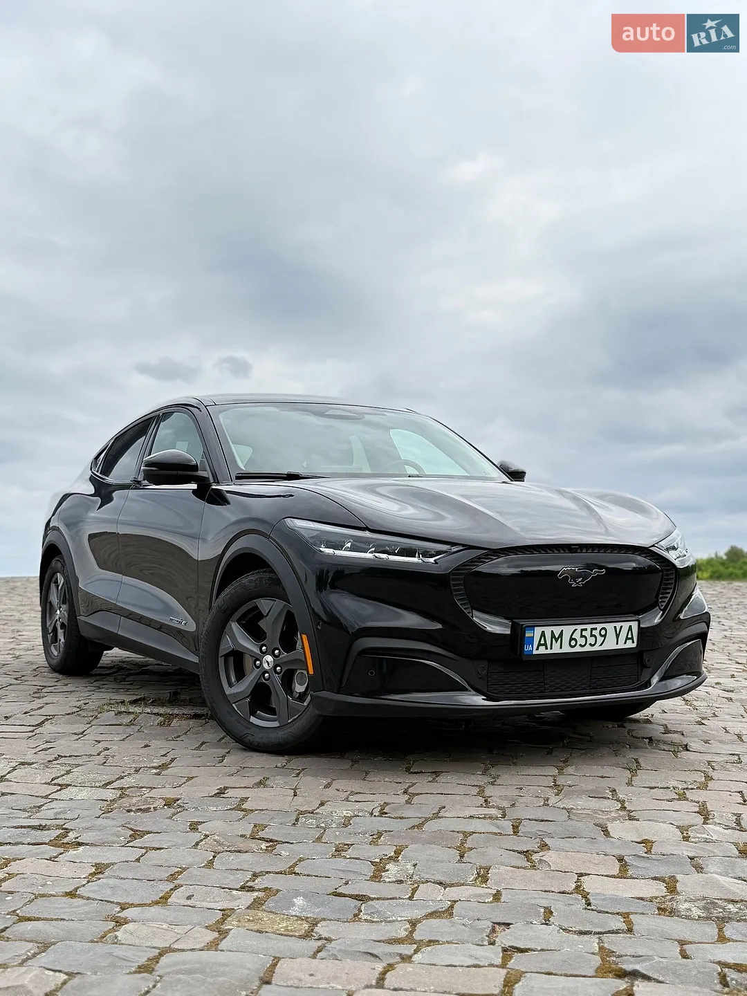 2022 Ford Mustang Mach-E - фото 1