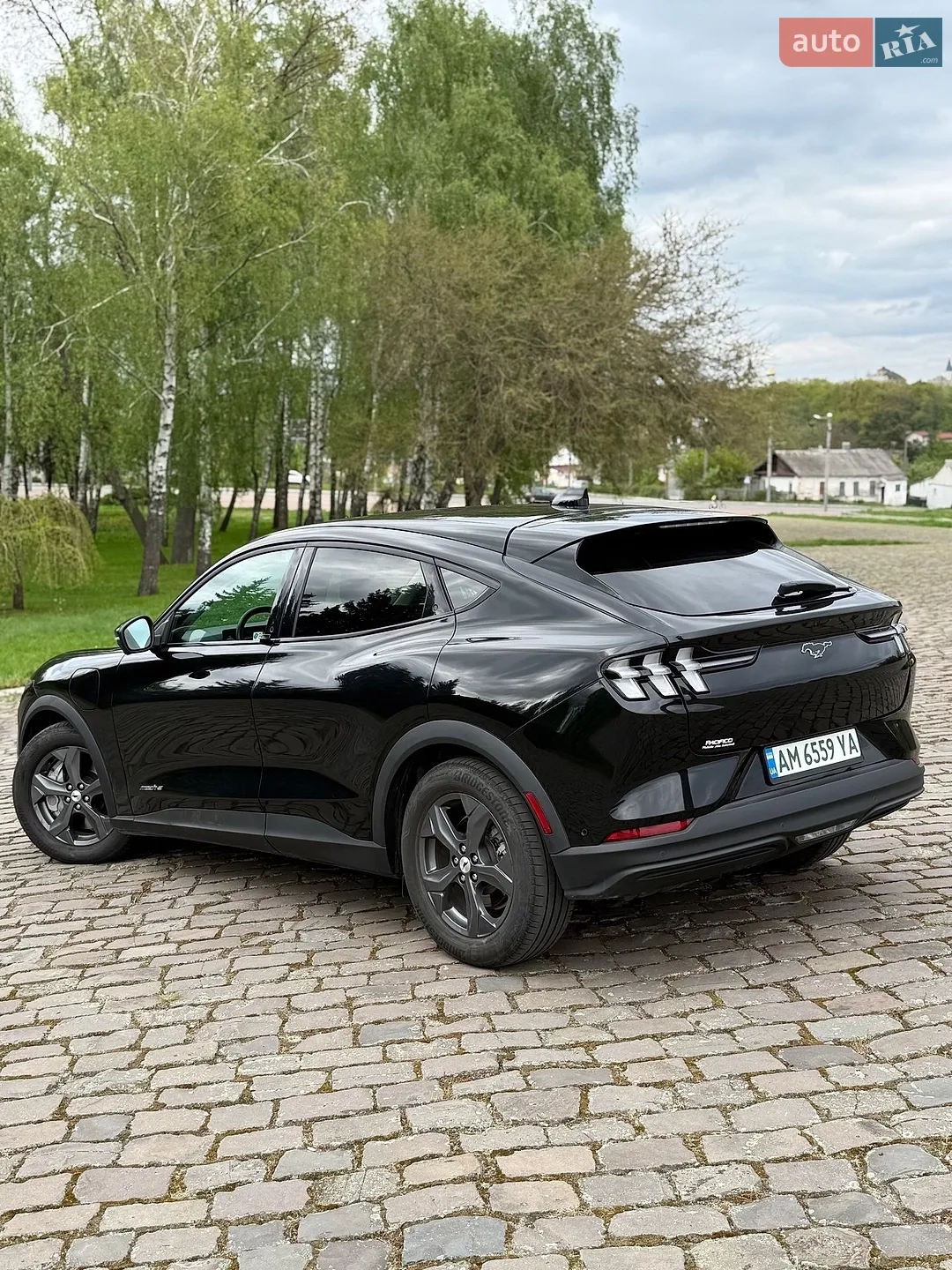 2022 Ford Mustang Mach-E - мініатюра 13