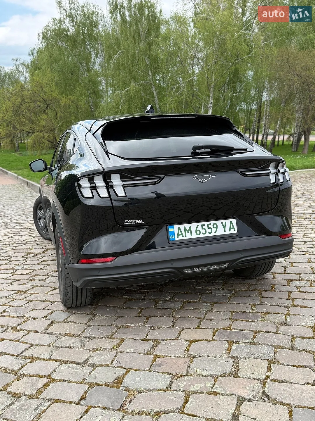 2022 Ford Mustang Mach-E - мініатюра 20