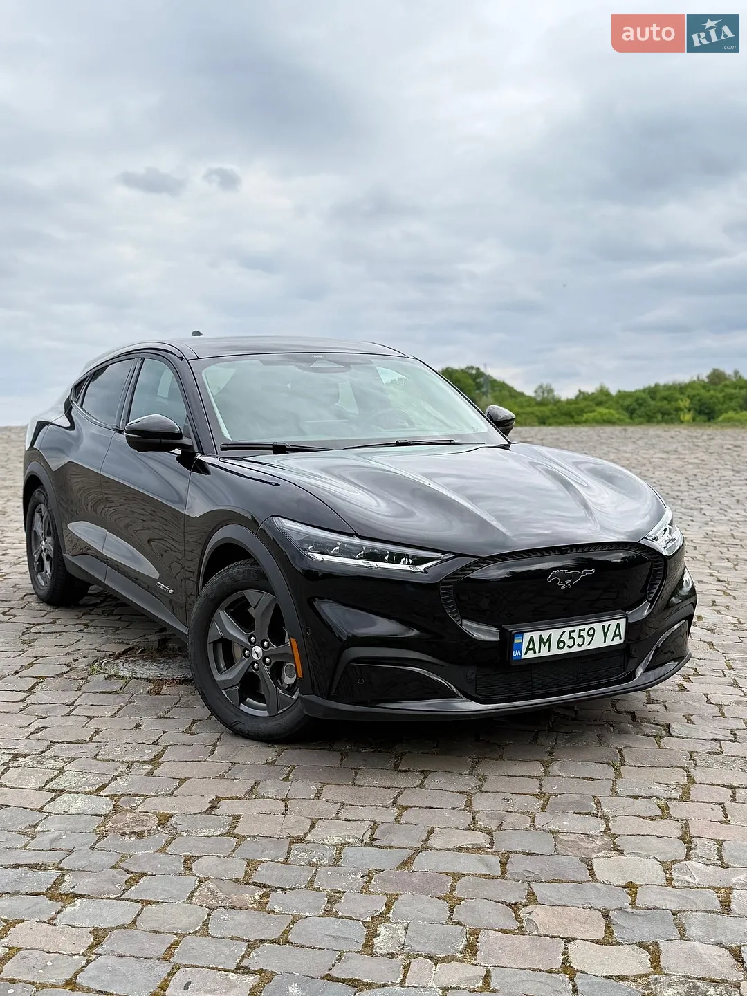 2022 Ford Mustang Mach-E - мініатюра 25