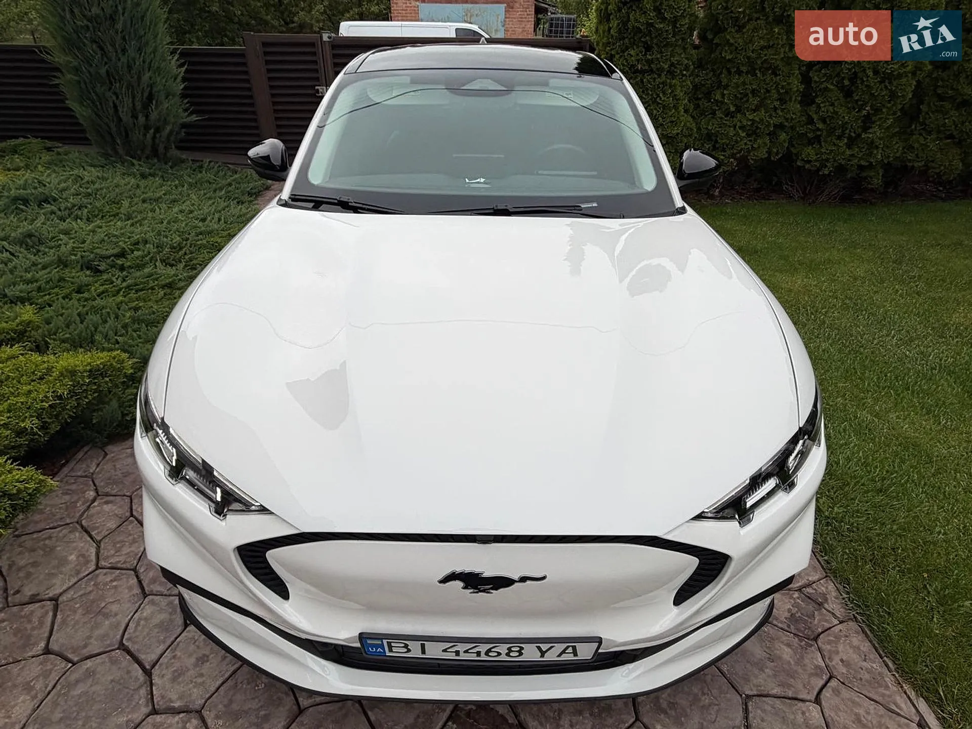 2025 Ford Mustang Mach-E - мініатюра 8